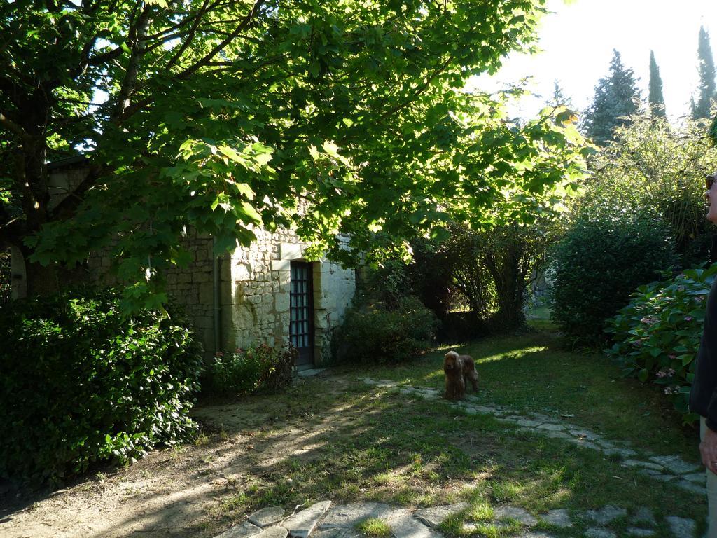 Le Logis Du Peu Girard Bed and Breakfast La Roche-Clermault Exteriör bild